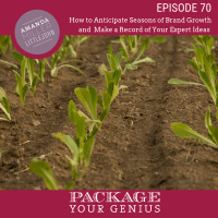 PYG 70: How to Anticipate Seasons of Brand Growth and Make a Record of Your Expert Ideas