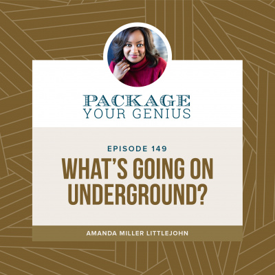 Package Your Genius Personal Branding Podcast