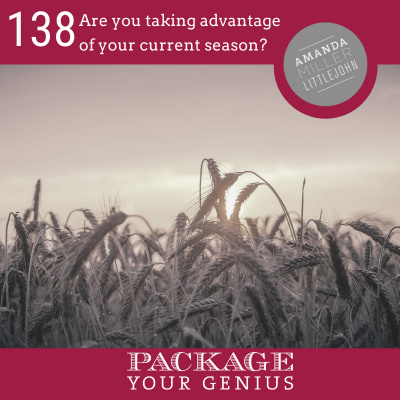 Package Your Genius Personal Branding Podcast