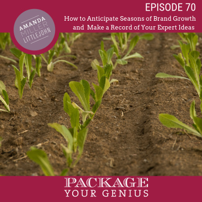 Package Your Genius Personal Branding Podcast