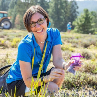 2018 - 10 - 1 Practical Uses Of The Personality Colors For Your Team With Sarah Adamo