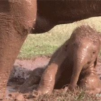 17 - 2-27 Why YOUNG Ranks Are The STUCK Ranks