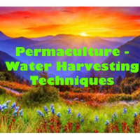 Permaculture - Water Harvesting Techniques