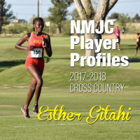 NMJC Player Profiles - Cross Country - Esther Gitahi