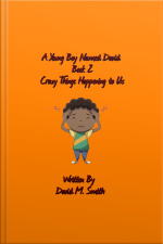 A Young Boy Named David Book 2: Crazy Things Happening To Us