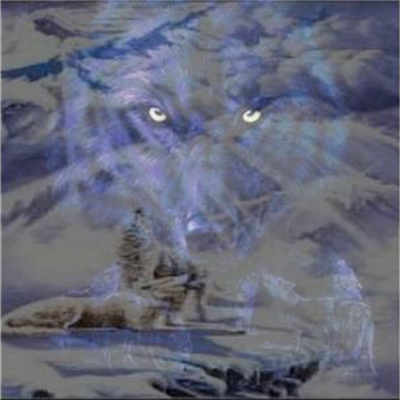 Across The Veil With April