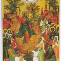 Mercoledì della XXIII settimana del Tempo Ordinario