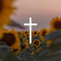 Galatians Series - Part 2 - Freedom