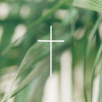 Palm Sunday