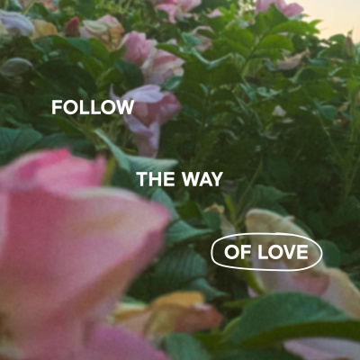 Trent Vineyard Talks