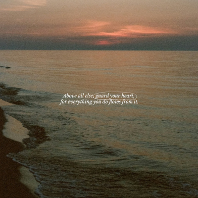 Trent Vineyard Talks