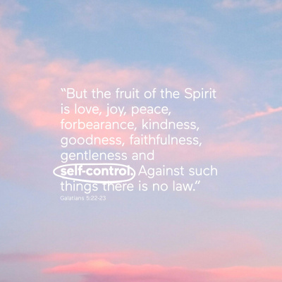 Trent Vineyard Talks