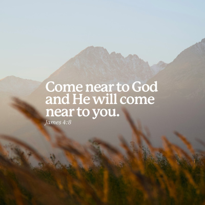 Trent Vineyard Talks