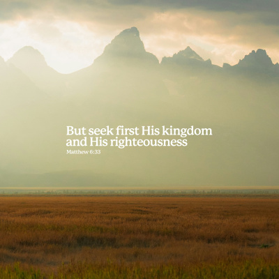 Trent Vineyard Talks