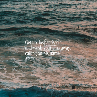 Trent Vineyard Talks