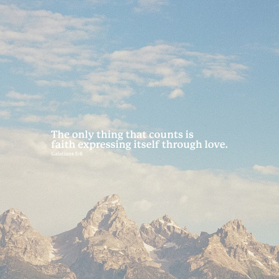 Trent Vineyard Talks