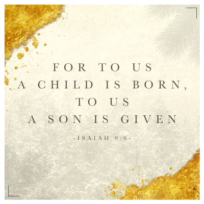 Trent Vineyard Talks