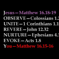 Observe: Disciple Says... - Audio