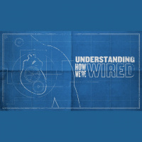 Understanding How Were Wired - Audio