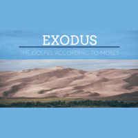 Exodus 9:13-35 10:21-29 - Audio
