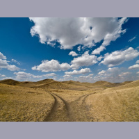 The Great Divorce 10 - Human free will and the Sovereignty of God