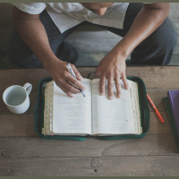 How to read the bible for yourself