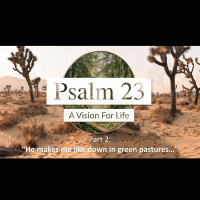 Psalm 23 - A Vision for Life Part 2 - He Makes Me Lie Down in Green Pastures