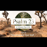 Psalm 23 - A vision for life Part 5: Your Rod and Your Staff