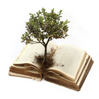 Psalm 2 - lets get political ! or... How should a Christian think about current social issues ?