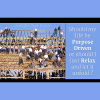 Being and Doing - considering the Purpose Driven Life - Ecclesiastes 9:7-10, Matthew 7:21-23, Matthew 25:41-43