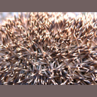 Healthy Relationships #2 Dealing with Difficult People - Ephesians 4:1-3