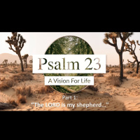 Psalm 23 - A vision for life Part 1 - The Lord is My Shepherd