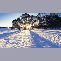 Advent #1 - Wise Men still seek Him...