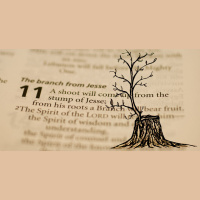 Advent #2 - Deep calls to Deep...