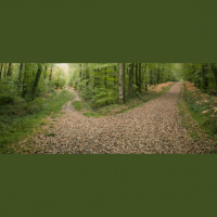 S3, Episode 41-The Complete Guide to Taking The Road Less Traveled-[Physican Fireside Chat] with Dr. Michelle Mudge-Riley from Physicians Helping Physicians