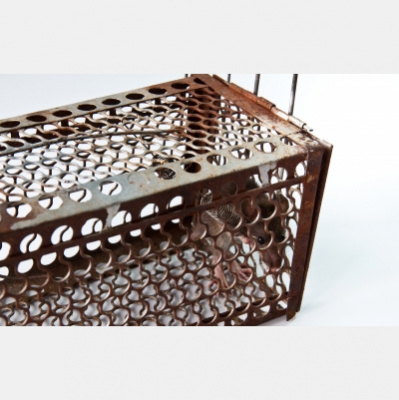 Freedom Formula for Physicians Podcast