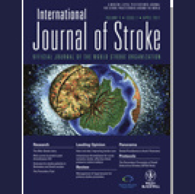 Interview With Associate Editor Professor Patrick Lyden