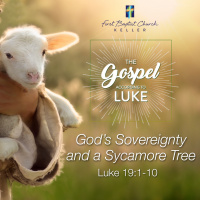 Gods Sovereignty and a Sycamore Tree_03-01-20