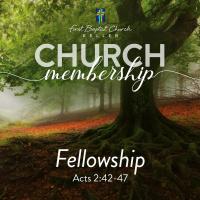 Fellowship 08 - 14 - 22