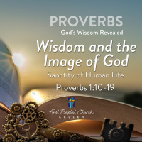 Wisdom-Image of God_07-11-21
