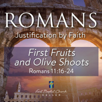 First Fruits 11 - 27 - 22