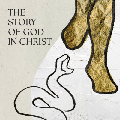 Reality San Francisco