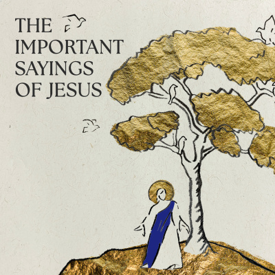 Reality San Francisco