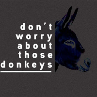 Dont Worry About Those Donkeys - Pastor Tyler Harris
