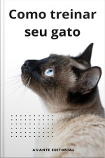 Como Treinar Seu Gato