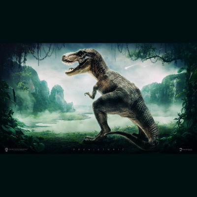 ROYALTY POOL - PODCAST