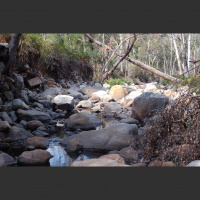 How stress brings peace