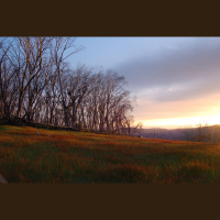 Find Peace: Become No-one!