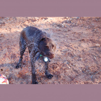 Dancing With Reality - A Mindful Life