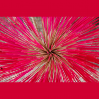 Drop your identity and enjoy the adventure